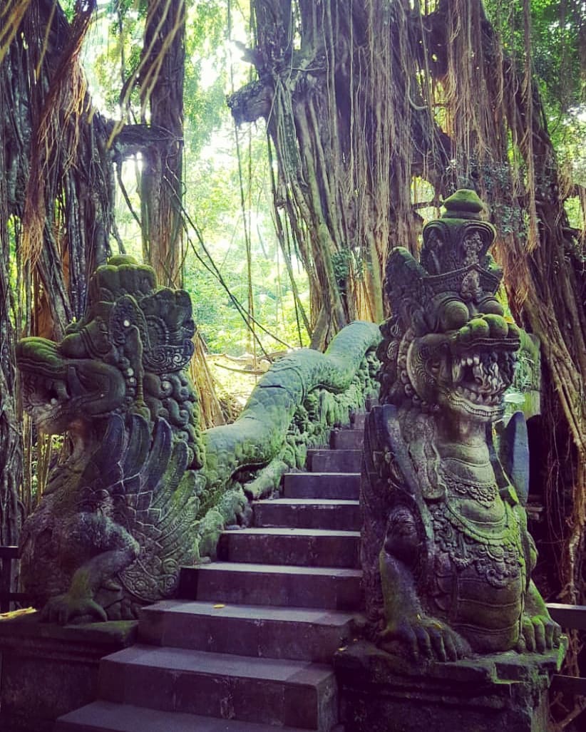 Ubud Monkey Forest
